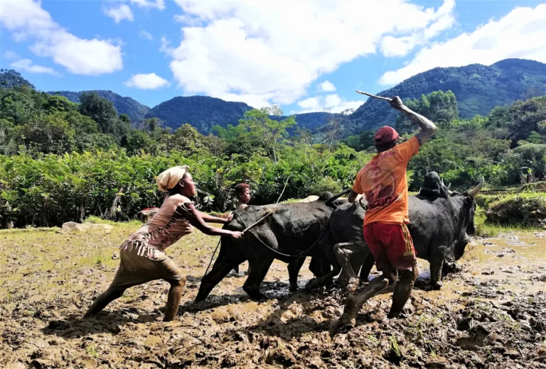 Visit Madagascar, Sakabe, field work, local immersion