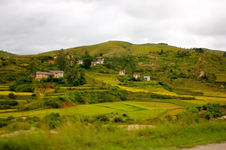 Typical landscape of the highland