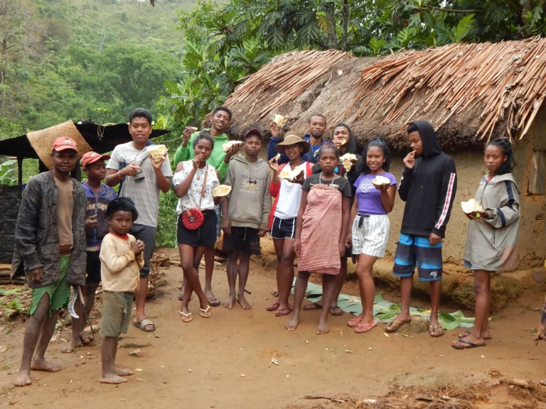 Visit Madagascar, Sakebe